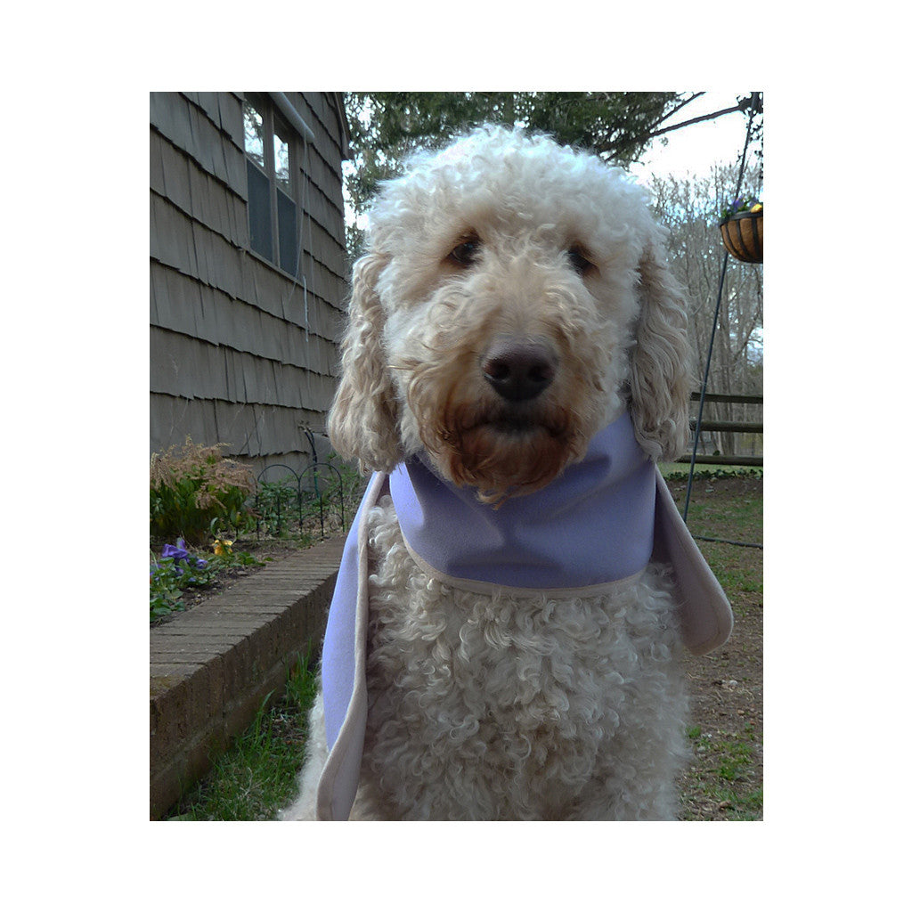 Warmest winter scarf